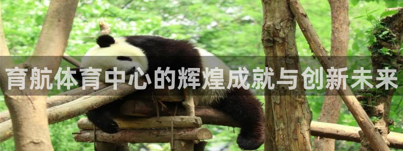 意昂体育4平台注册要钱吗安全吗：育航体育中心的辉煌成