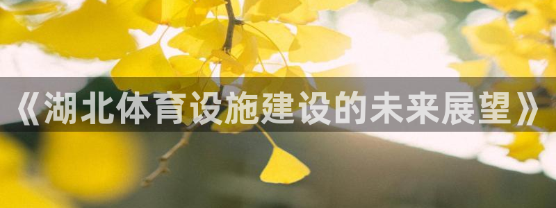 意昂体育4招商电话号码：《湖北体育设施建设的未来展望