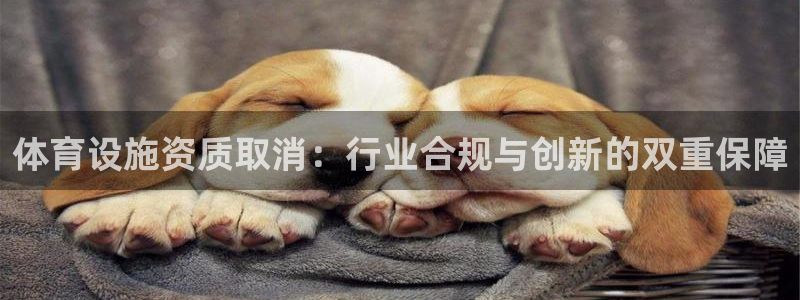 意昂4集团E.ON：体育设施资质取消：行业合规与创新