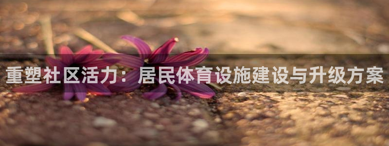 意昂4官方：重塑社区活力：居民体育设施建设与升级方案