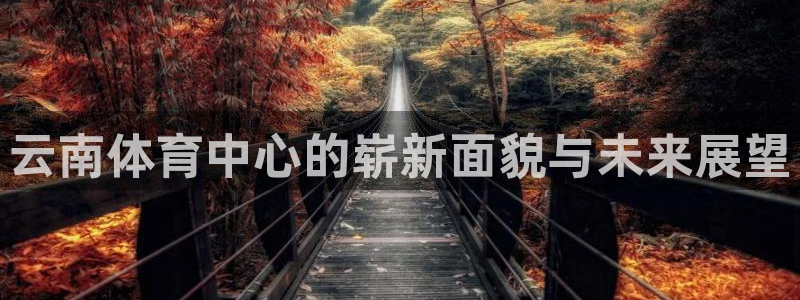 意昂4集团简介：云南体育中心的崭新面貌与未来展望