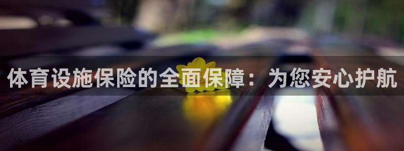 意昂体育4平台APP：体育设施保险的全面保障：为您安