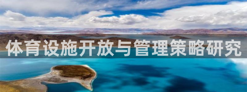 意昂体育4是干嘛的公司：体育设施开放与管理策略研究