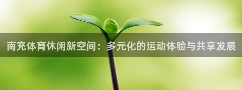 意昂体育4平台注册要钱吗：南充体育休闲新空间：多元化