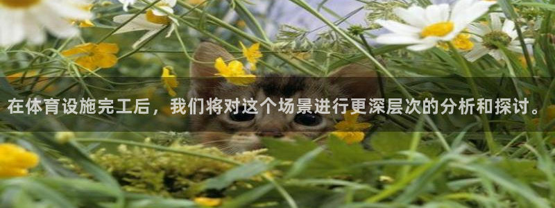 意昂4新能源：在体育设施完工后，我们将对这个场景进行