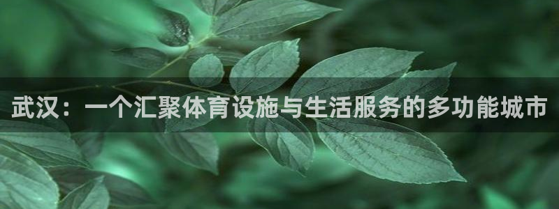 意昂体育4招商电话号码是多少号：武汉：一个汇聚体育设
