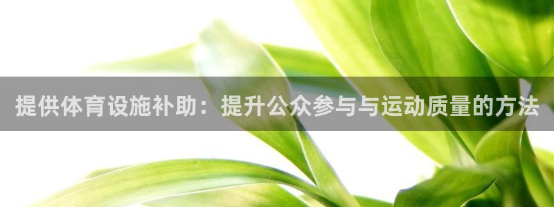 意昂体育4平台是正规平台吗：提供体育设施补助：提升公