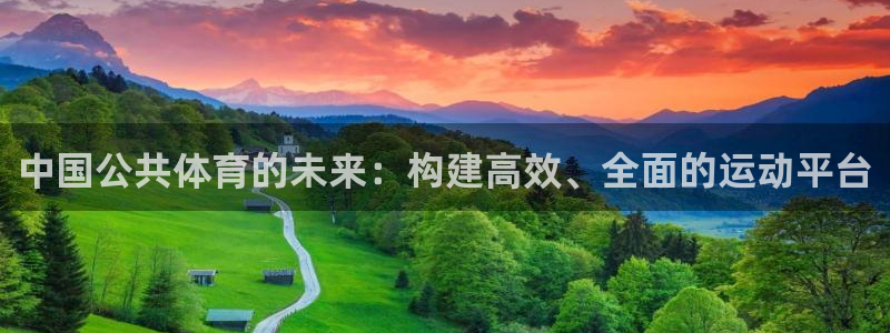 意昂体育4软件：中国公共体育的未来：构建高效、全面的