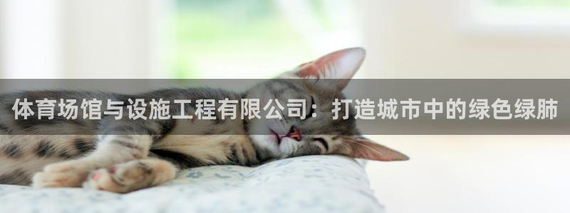 意昂体育4平台假的吗是真的吗吗：体育场馆与设施工程有