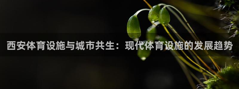 意昂体育4软件