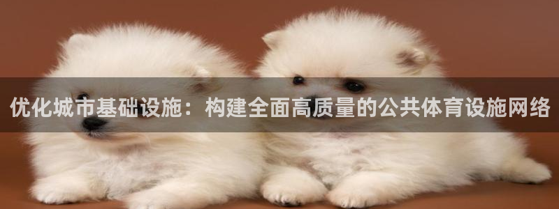 意昂体育4平台注册流程视频：优化城市基础设施：构建全