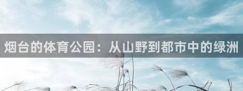 意昂体育4平台注册要钱吗安全吗：烟台的体育公园：从山