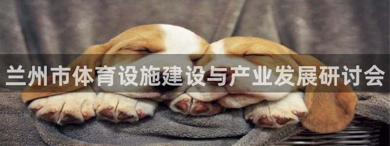 意昂体育4：兰州市体育设施建设与产业发展研讨会
