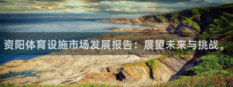 意昂体育4注册：资阳体育设施市场发展报告：展望未来与