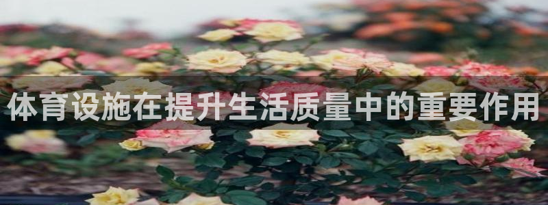 意昂体育4招商电话号码是多少啊：体育设施在提升生活质