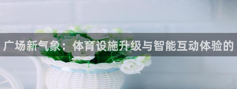 意昂4神州：广场新气象：体育设施升级与智能互动体验的