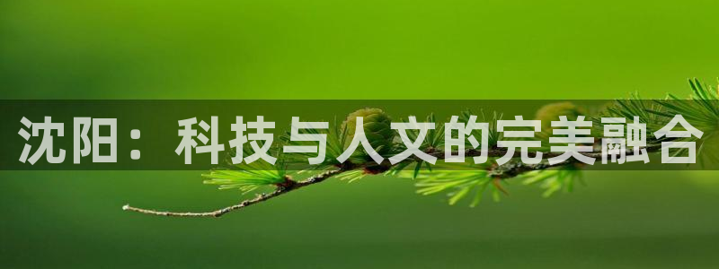 意昂体育4平台假的吗是真的吗吗：沈阳：科技与人文的完