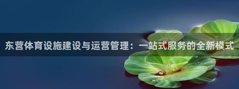 意昂4官网：东营体育设施建设与运营管理：一站式服务的