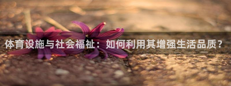 意昂体育4娱乐：体育设施与社会福祉：如何利用其增强生