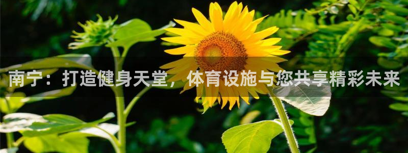 意昂4集团logo：南宁：打造健身天堂，体育设施与您共享精彩