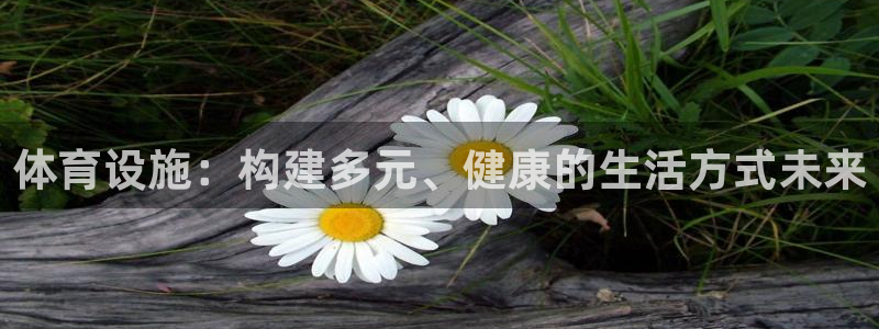 意昂体育4平台注册流程视频：体育设施：构建多元、健康