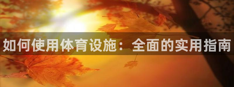 意昂4娱乐代理怎么样：如何使用体育设施：全面的实用指南
