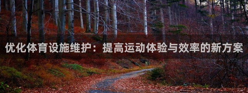 意昂体育4平台是正规平台吗：优化体育设施维护：提高运动体验与 