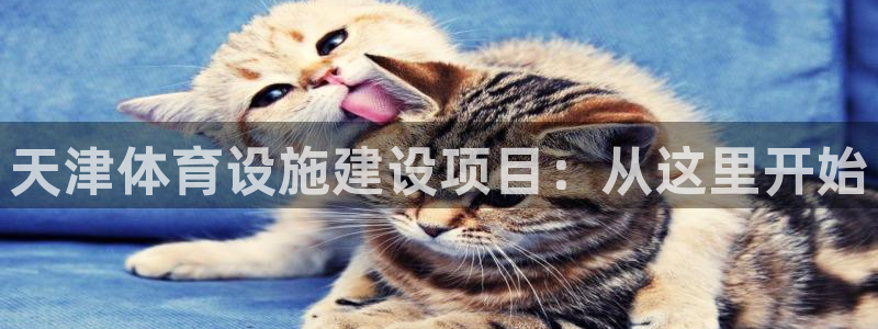 意昂4集团官网网址：天津体育设施建设项目：从这里开始