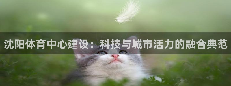 意昂4集团官网首页：沈阳体育中心建设：科技与城市活力
