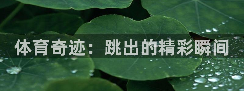 意昂4娱乐平台：体育奇迹：跳出的精彩瞬间