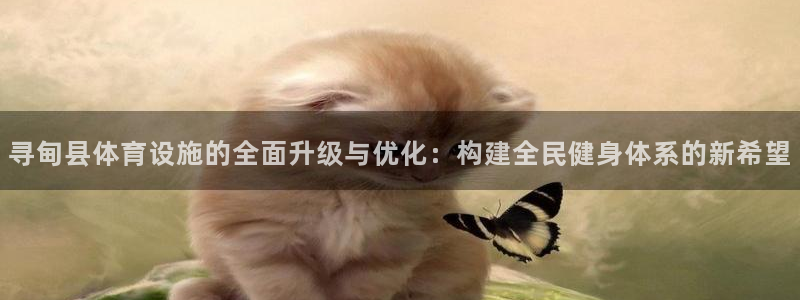 意昂体育4招商电话号码查询是多少：寻甸县体育设施的全面升级与
