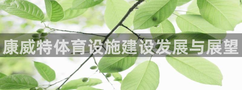 意昂体育4招商电话号码是多少：康威特体育设施建设发展与展望