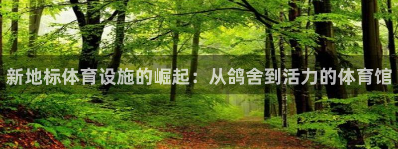 意昂4集团logo：新地标体育设施的崛起：从鸽舍到活力的体育
