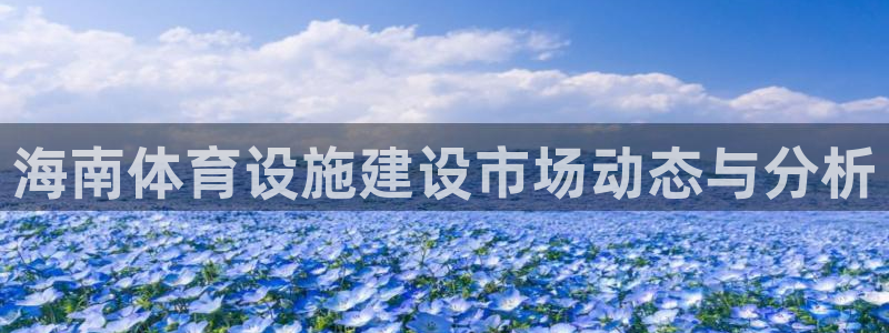 意昂4科技：海南体育设施建设市场动态与分析
