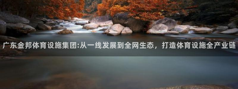 意昂体育4开户：广东金邦体育设施集团:从一线发展到全
