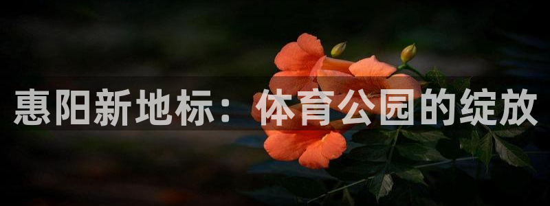 意昂体育4招商电话号码查询：惠阳新地标：体育公园的绽