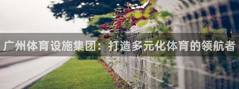 意昂体育4是干嘛的公司：广州体育设施集团：打造多元化