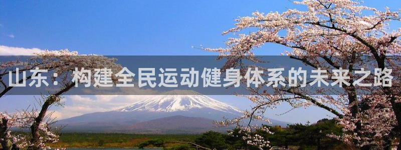 意昂体育4平台：山东：构建全民运动健身体系的未来之路