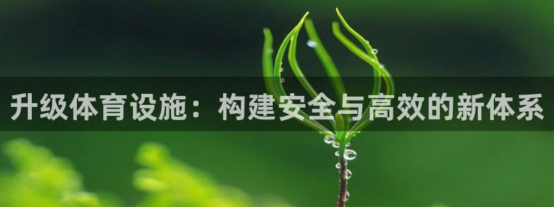 意昂体育4平台注册：升级体育设施：构建安全与高效的新