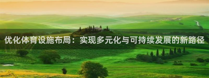 意昂4代理：优化体育设施布局：实现多元化与可持续发展