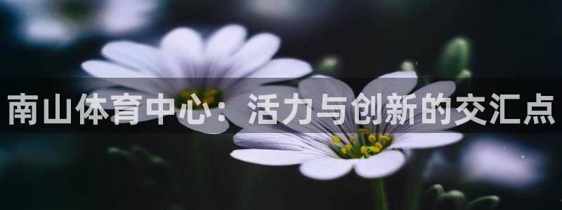 意昂体育4平台假的吗是真的吗：南山体育中心：活力与创