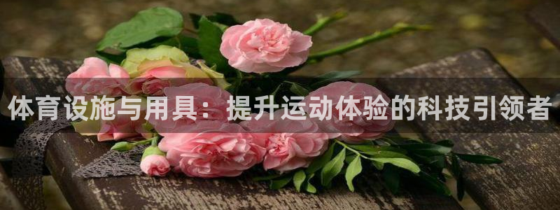 意昂4官网：体育设施与用具：提升运动体验的科技引领者