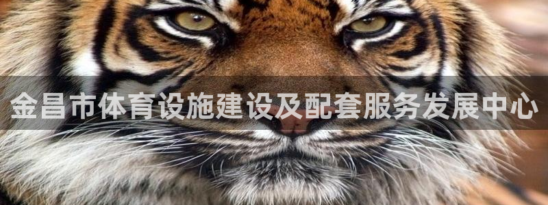 意昂4新能源：金昌市体育设施建设及配套服务发展中心