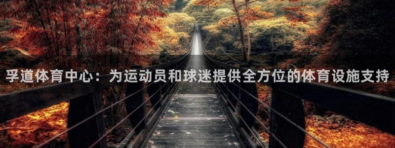 意昂4娱乐代理怎么样：孚道体育中心：为运动员和球迷提