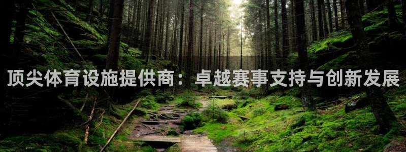 意昂4娱乐首页网站大全：顶尖体育设施提供商：卓越赛事