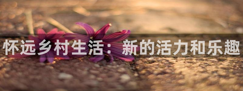 意昂体育4招商：怀远乡村生活：新的活力和乐趣