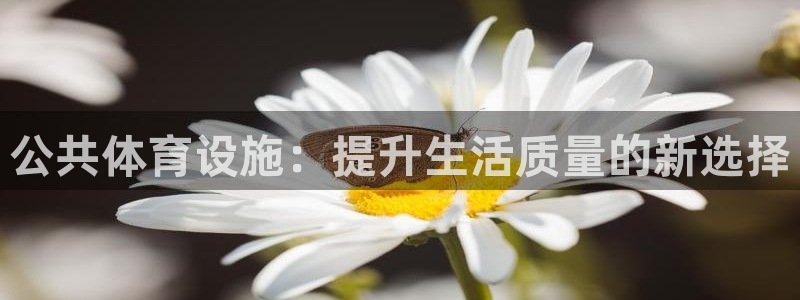 意昂体育4招商电话是多少：公共体育设施：提升生活质量