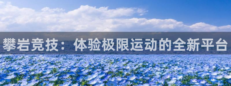 意昂4娱乐首页官网下载：攀岩竞技：体验极限运动的全新