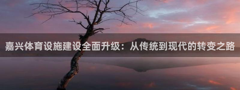 意昂体育4平台APP：嘉兴体育设施建设全面升级：从传