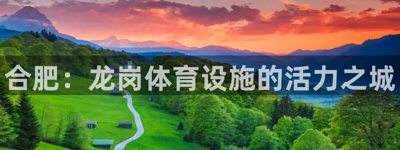 意昂体育4平台假的吗是真的吗：合肥：龙岗体育设施的活